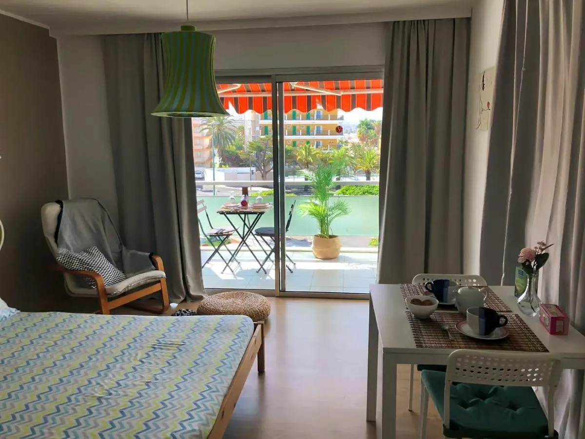 Agave Paradise Apartment Puerto de la Cruz